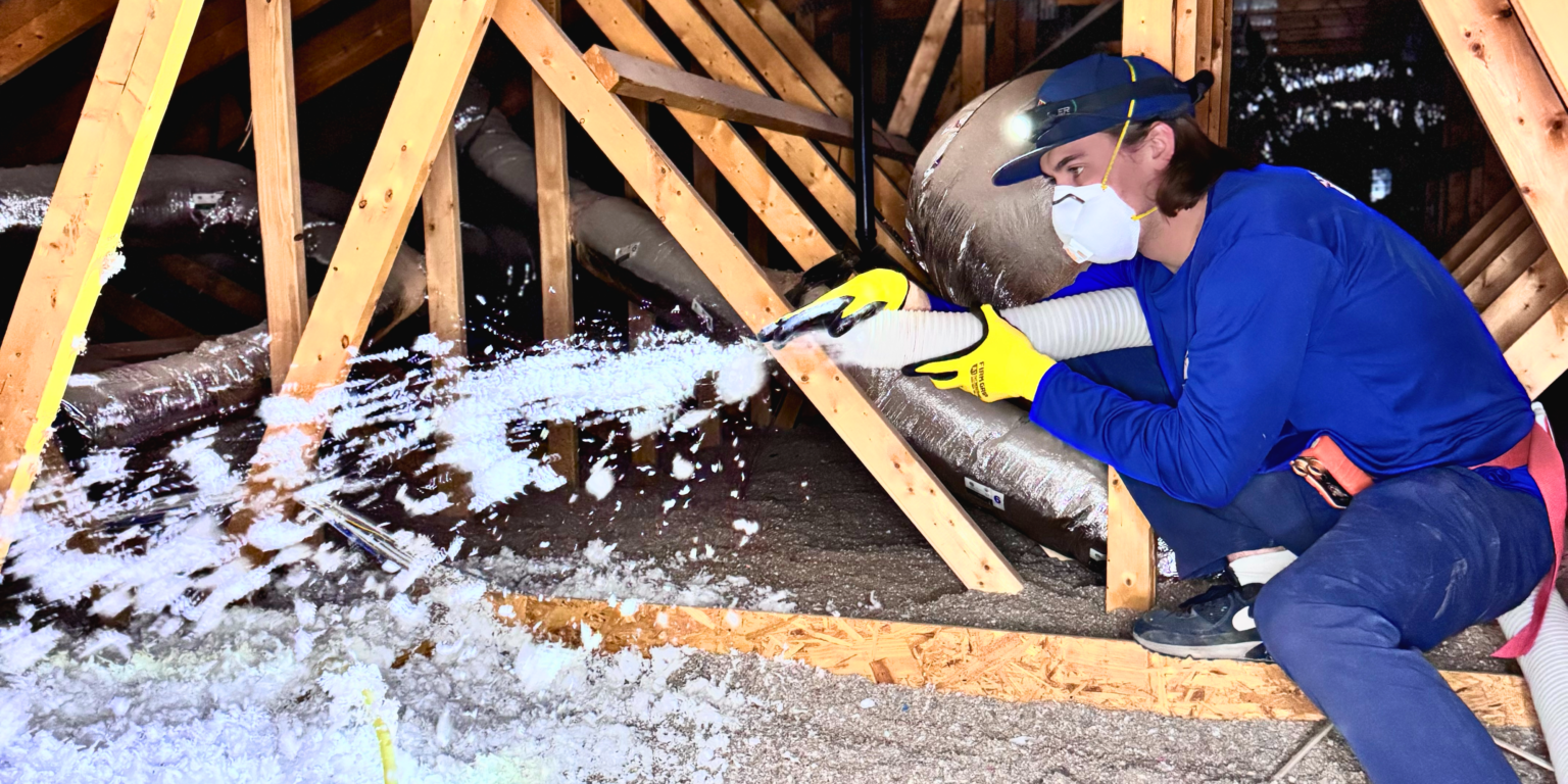 How to Inspect the Attic, Insulation, Ventilation, and Interior Course ...