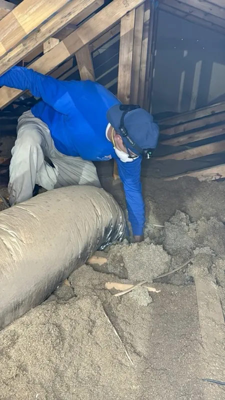 AZ Insulation technician inspecting and removing old attic insulation in Glendale